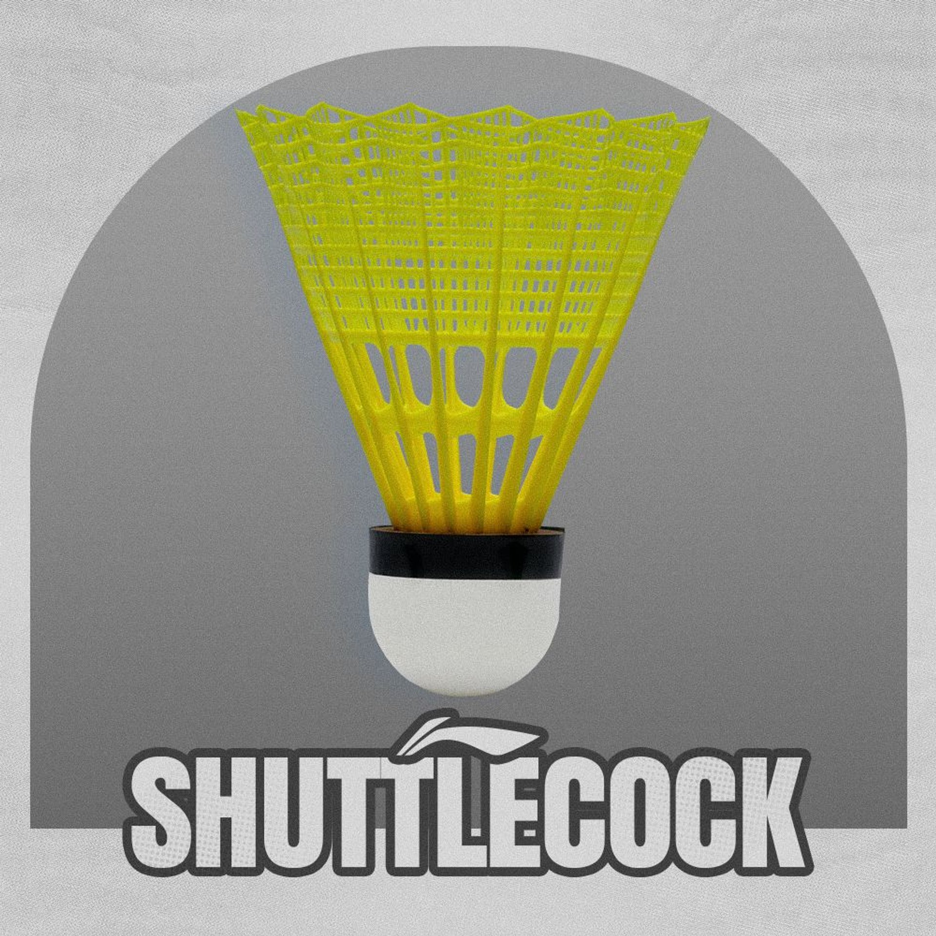 Li-Ning Shuttlecock 